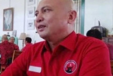 Bangka: Feri Insani-Syahbudin, Untuk Kota: Prof Udin & cece Desi