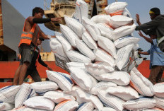 Waduh, Ada Pengusaha Impor Beras Ilegal 250 Ton
