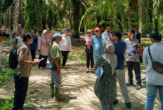 Petani Kelurahan Kelapa Menang Gugatan, PTUN Cabut Surat Aset Pemda Babar Seluas 113 Hektar