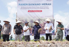 PT Timah Panen Raya Bawang Merah