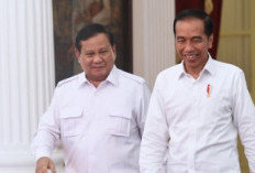 Prabowo Sebut Ada Pihak yang Ingin Pisahkan Dia dan Jokowi?