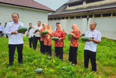 Lapas Panen 106 Kg Semangka Inul