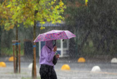  BMKG: Awas Hujan Lebat Awal 2026!