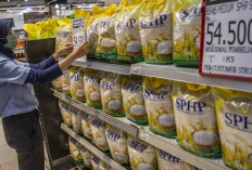 Harga Beras di Atas Rp 16 Ribu Per Kilogram