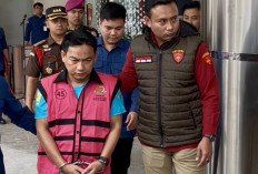 Terjeratnya Ketua ORI Jadi Tersangka, Doyan Temu Bos Tambang?