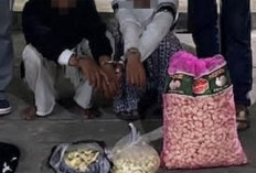 Tergoda Sekarung Bawang Putih, 2 Remaja Nekad Angkut, Pemilik Kalang Kabut