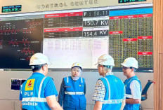 PLN Operasikan Kembali Jaringan Kabel Laut