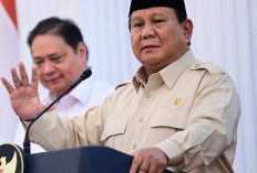  Dari 1.077 BUMN, Sudah 200 Ditutup, Target Cukup 250 perusahaan