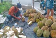 Sampah Kulit Durian di Kabupaten Bangka Capai 8 Ton Setiap Hari