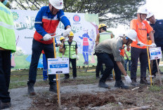 Peringati Hari Lingkungan Hidup 2024, Indocement Gelar Beragam Aksi Hijau