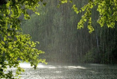  La Nina di Akhir 2025