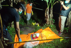 Lansia Sebatang Kara Ditemukan Tinggal Tulang Belulang
