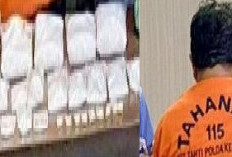 Bandar Narkoba Nyambi Jadi Honorer, atau Sebaliknya?