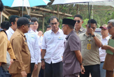 PLN dan Pemkab Lakukan Survei Bersama