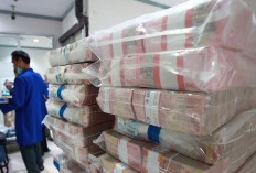 Purbaya Sebut RI Punya Bantalan Rp 420 Triliun