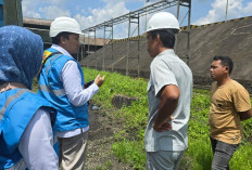 PLN UP3 Bangka Siapkan Pasokan Listrik Andal Untuk Pabrik Industri Perkebunan