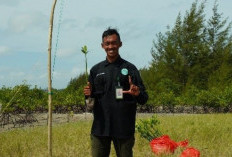 Si Tengah Krisis Ekologis, Mangrove Pulau Bangka  Terancam Krisis Perubahan Iklim dan Ahli Fungsi Lahan