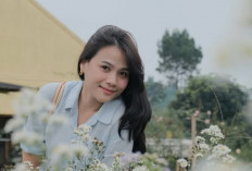 Basarnas Berhasil Evakuasi 1 Korban, Satu Pramugari Teridentifikasi 