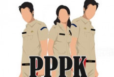  Pengangkatan PPPK PW ke Full Time Bertahap? 