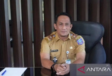 Koperasi Babel Serap 11.218 Tenaga Kerja
