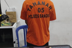 Polisi Temukan 11 Bungkus Ganja di Rumah Warga Belinyu