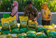 Jaga Kedaulatan Pangan Hingga Pelosok Negeri
