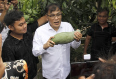 Budiman Sudjatmiko Dituduh Pengkhianat!