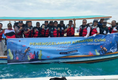 PT Timah Tenggelamkan Artificial Reef dan Atraktor Cumi