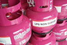  Fakta LPG 3 Kg Diganti LPG Pink Seharga Rp43 Ribu Diungkap Pertamina