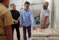 Petani Rias Belum Menghasilkan Beras Premium, Fraksi Demokrat DPRD Basel Janji Perjuangkan