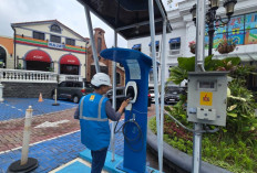 PLN Luncurkan Clean Energy Day