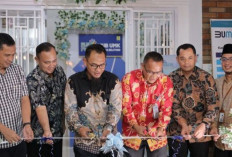 PLN Resmikan HUB UMK Dukung Pengembangan UMKM