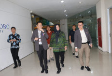 Babel - Podomoro University Jajaki Kerja Sama Perkuat UMKM