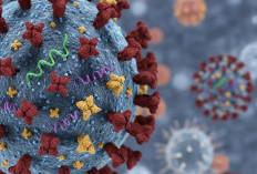 Varian Flu Subclade K Masuk RI