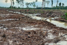 Lelap Kelaban Pergam Digarap