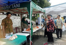 Anggota DPD RI Pastikan Gerakan Pasar Murah di Belitung Bantu Rakyat