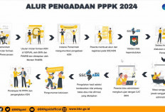 Sejuta Formasi PPPK 2024