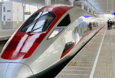 Jokowi Kian tak Nyaman, DPR Dukung Usut Whoosh!