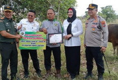 Pemkab Basel Terima Bantuan CSR Sapi, Kambing & Uang Tunai