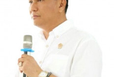  BPJ: Jangan Mau Dimanfaatkan:PLTN di Babel, Nol!