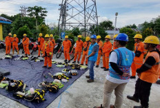 PLN Imbau Tidak Menambang Dekat Tower SUTT