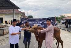 Semangat Berbagi di Idul Adha 1447 H, Polres Bangka Potong 4 Sapi & 4 Kambing