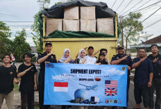 Bea Cukai Dampingi UMKM Ekspor Daun Ketapang ke AS