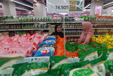 Beras Premium Kembali Muncul di Ritel