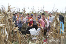Pemkab Babar Perkuat Sinergi Bangun Ketahanan Pangan Desa