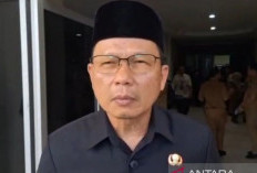 Utamakan Aspek Ekologi dalam Revisi RTRW