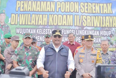 Akibat Penambangan Ilegal di Bangka Belitung, Lahan Kritis Capai 167.065 Ha
