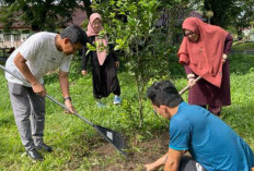 BKPSDM Babel Siap Lahan Tanaman Holtikultura