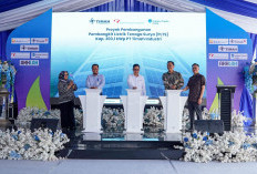 PT Timah Resmikan PLTS Kapasitas 303,1 kWp