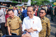 Nah Jokowi Sibuk 'Ngurus' Soal Presiden Kampanye?